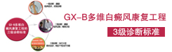 GX-B多维白癜风康复工程三级诊断标准